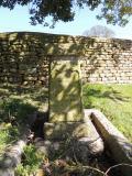 image of grave number 764060